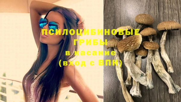 мдпв Арсеньев