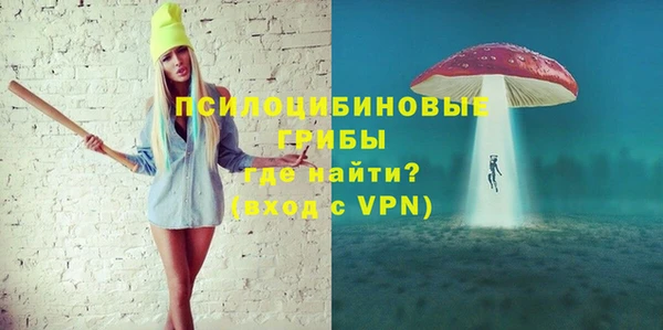 ГАЛЛЮЦИНОГЕННЫЕ ГРИБЫ Верхний Тагил