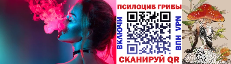 Псилоцибиновые грибы прущие грибы  Купить где  Бабушкин 